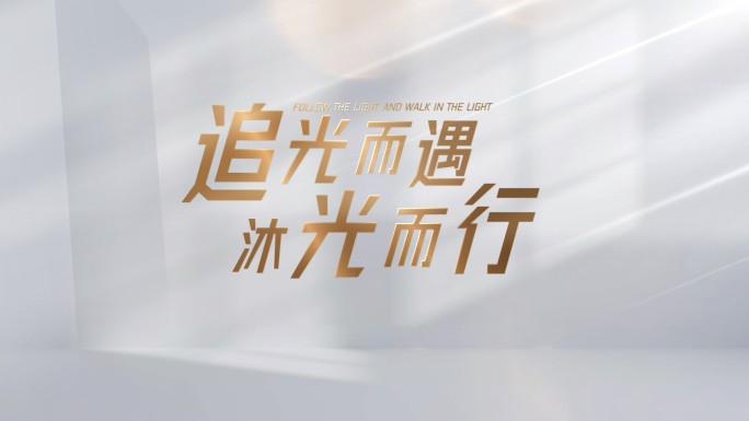 简约典雅白光影文字