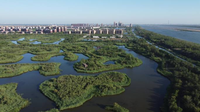 天津市静海区独流减河团泊湿地航拍