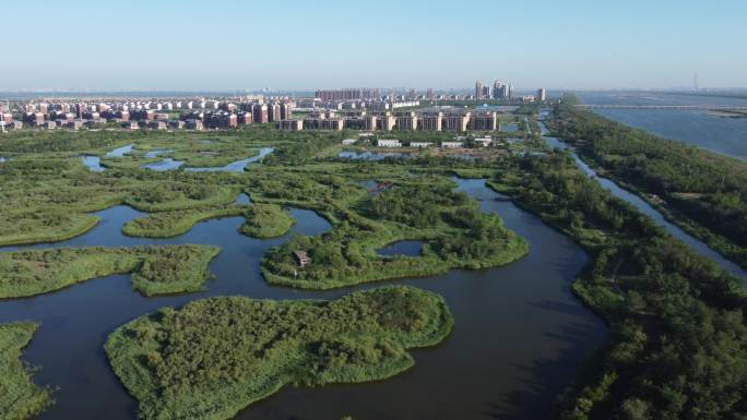 天津市静海区独流减河团泊湿地航拍