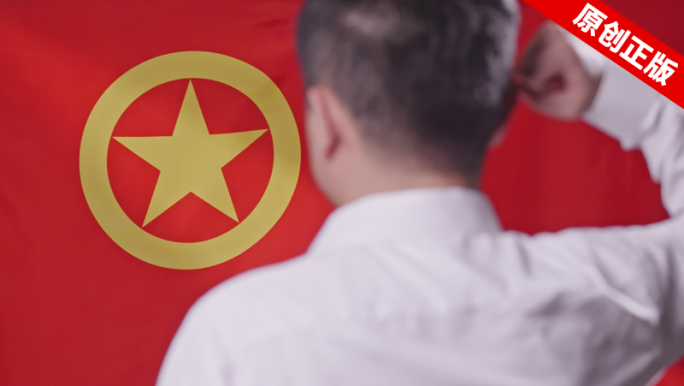 入团宣誓共青团团员团徽团支部旗帜