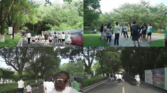 春游旅游的人群