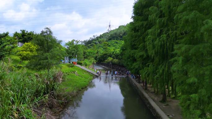 航拍深圳马峦山碧岭小溪风景