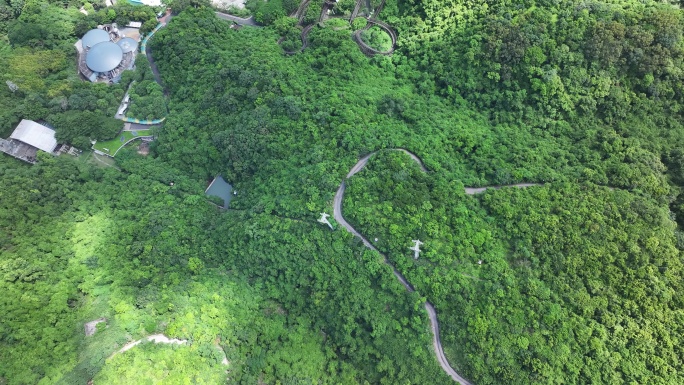 深圳盐田 山海