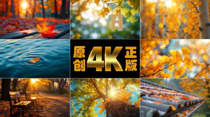 立秋秋分秋天落叶美景二十四节气