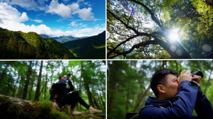 森林户外摄影师感受大自然