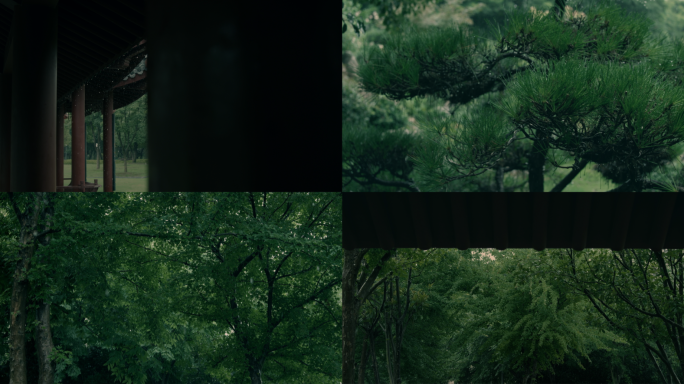园林雨景 公园下雨