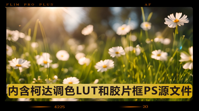 5款复古胶片边框