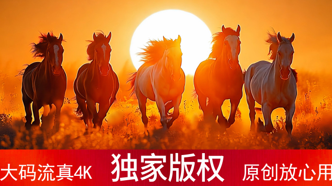 马奔跑 意境 万马奔腾