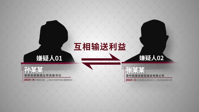犯罪嫌疑人介绍03