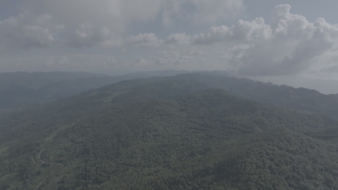 盛夏山野