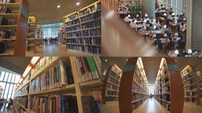 图书馆 书海 书架 阅读 学习