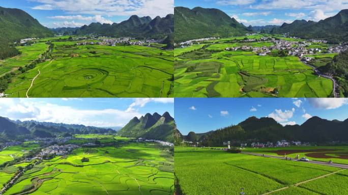 4k航拍贵州稻谷水稻田园乡村振兴乡村旅游