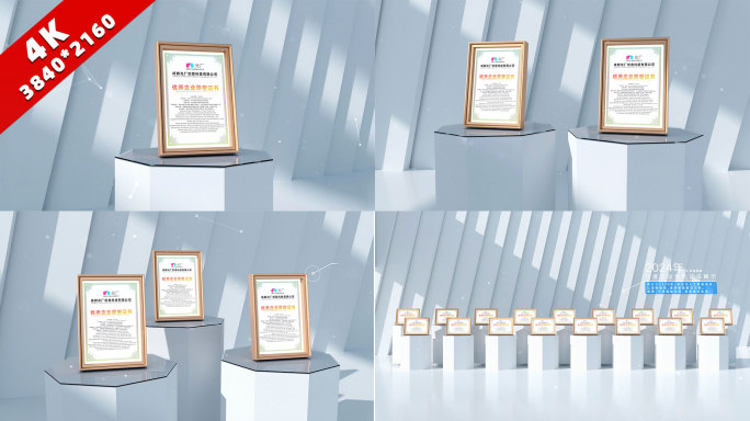 高端专利获奖证书