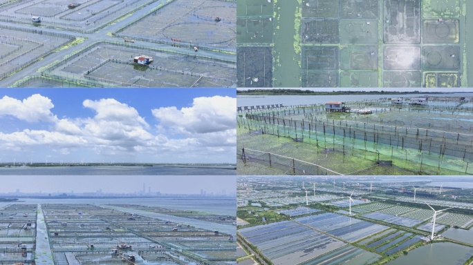 苏州 阳澄湖大闸蟹养殖基地航拍