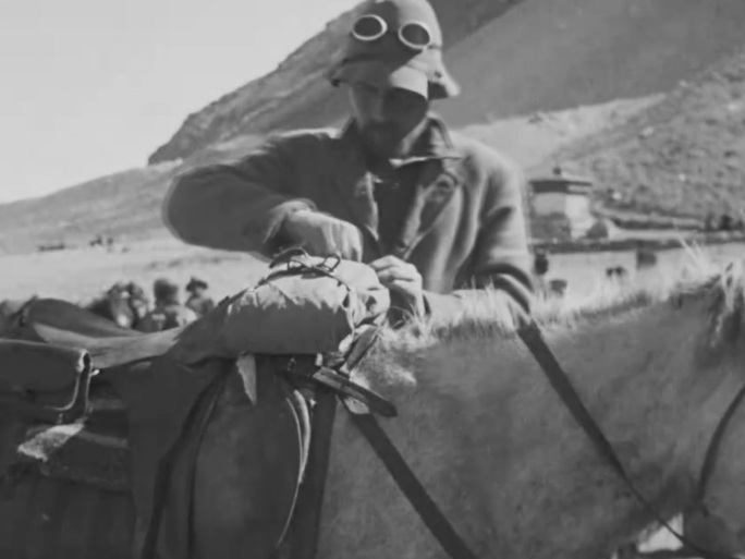 上世纪登珠峰 国际登山队 西藏牦牛