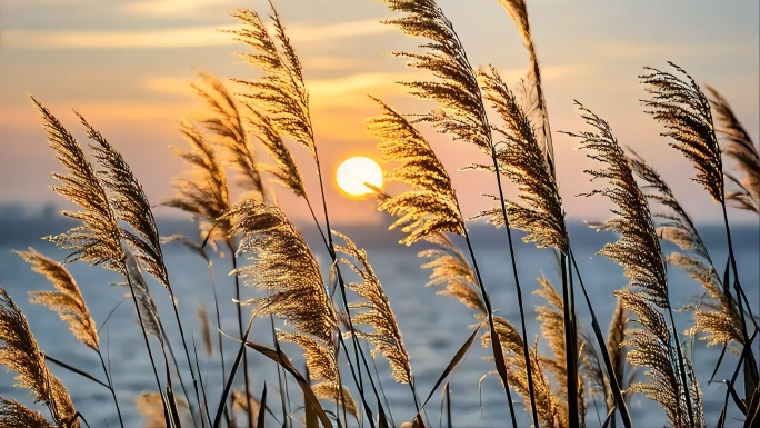 中国二十四节气立秋秋天意境