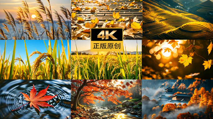 中国二十四节气立秋秋天意境