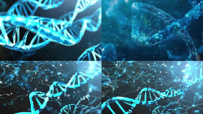 基因 分子 基因链 DNA