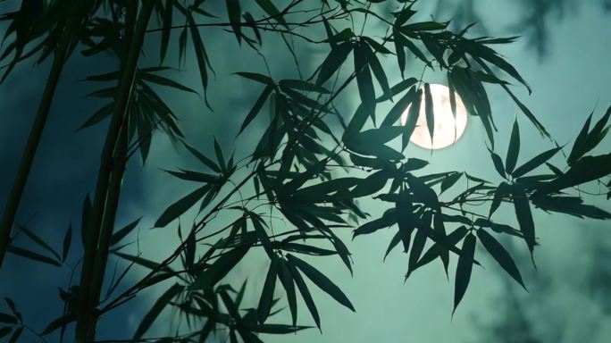 04夜晚 竹林 月光
