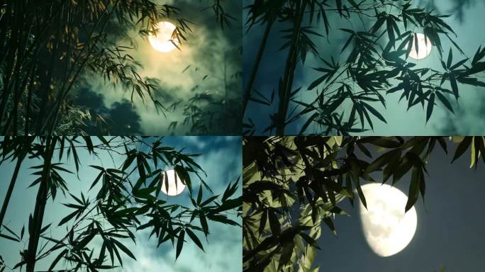 04夜晚 竹林 月光