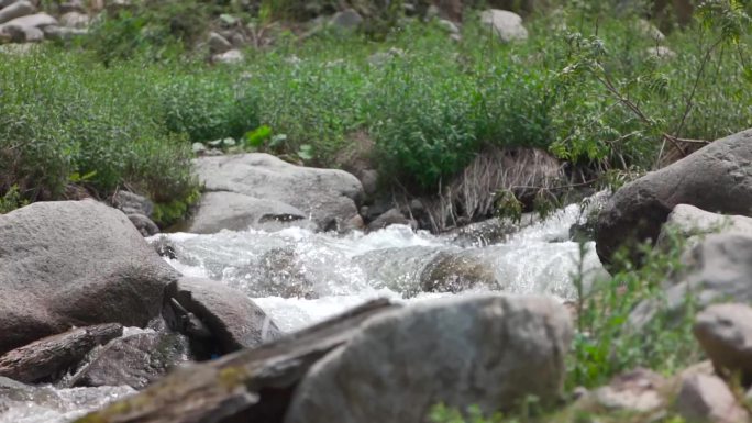 新疆天山山脉那拉提草原河流翱翔鹰奔跑马