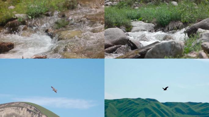 新疆天山山脉那拉提草原河流翱翔鹰奔跑马