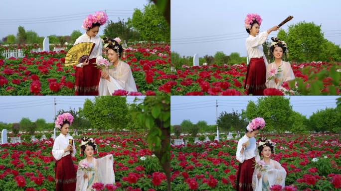 花海 菏泽牡丹花盛开 汉服