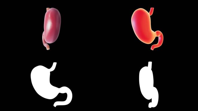 胃溃疡十二指肠溃疡胃息肉胃粘膜胃扩张合集