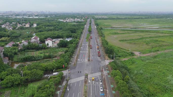 浦东周邓快速路施工绿植迁移周邓公路