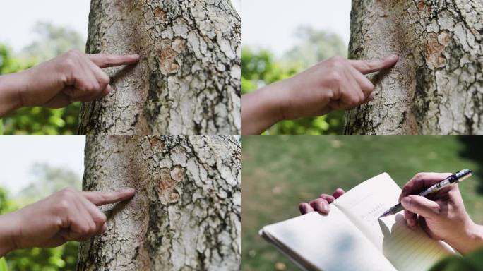 用手指指着树皮 防虫害