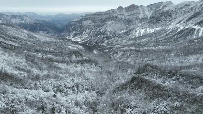 神农架高山雪景