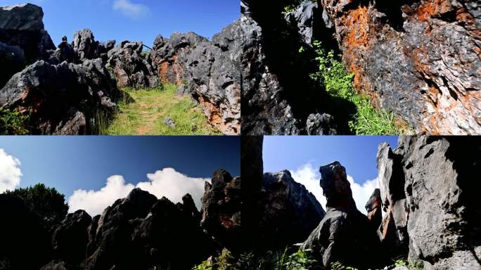 千野草场石林实拍素材