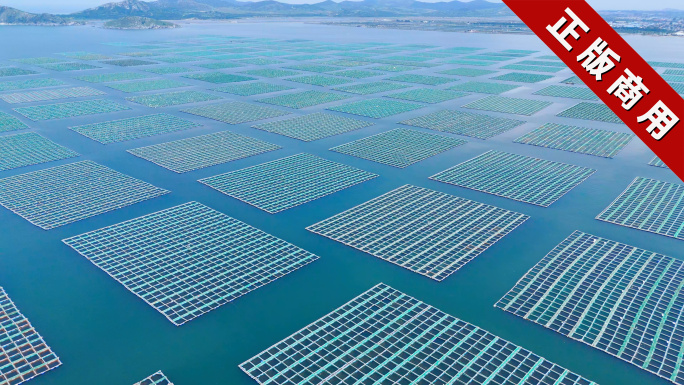 4K航拍海洋牧场网箱海水养殖淡水养殖