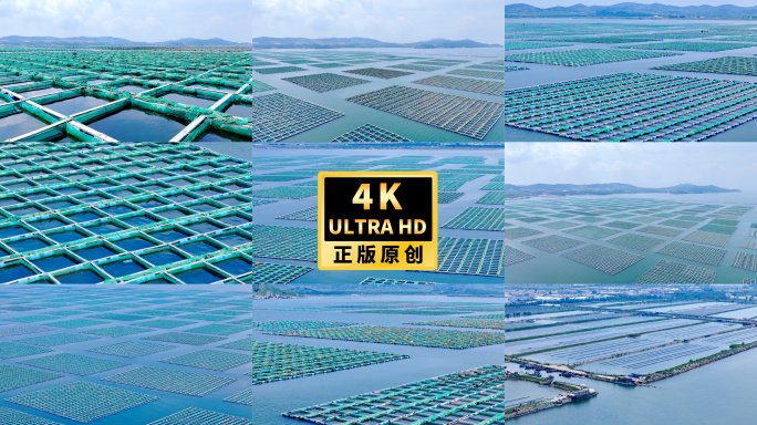 4K航拍海洋牧场网箱海水养殖淡水养殖