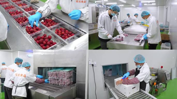 原厂荔枝工厂拍摄 荔枝保鲜技术