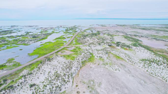 新疆福海县乌伦古湖沼泽湿地公路风景航拍