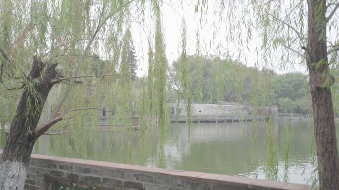 可园河畔楼阁古色古香垂柳湖畔古风国风莞城