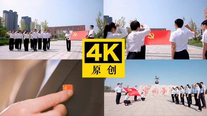 党建宣誓 优秀干部  年轻党员宣誓