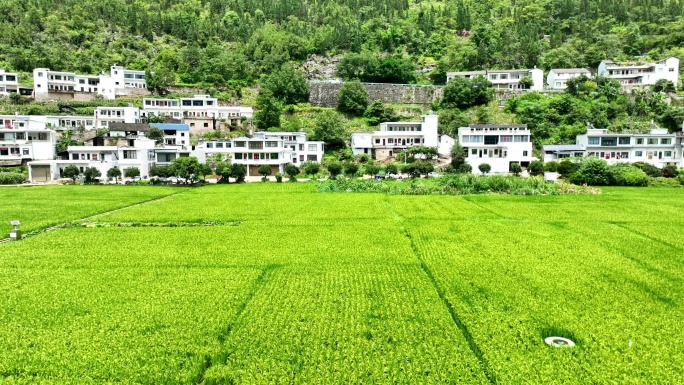 V1-0116_贵州新义24