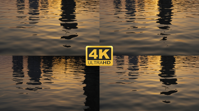 【4K】夕阳下水面倒影 升格
