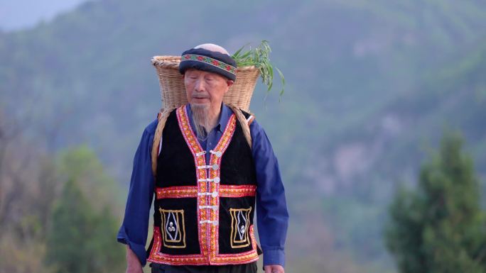 苗医中药医生藏医背药篓上山采药