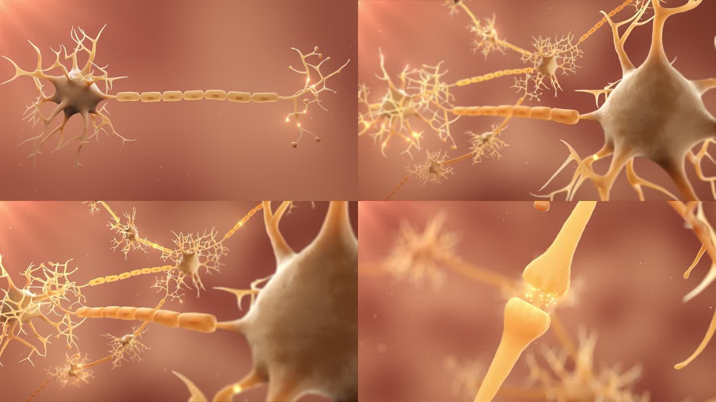 神经元神经传导三维动画C4D+AE工程