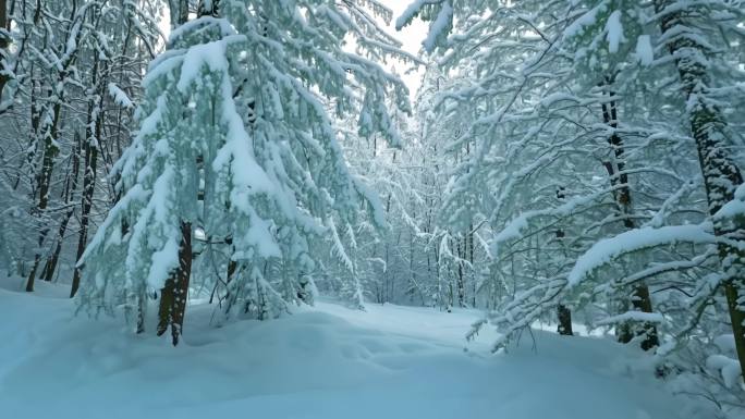 大雪小雪冬天寒冷东北冬季吉林雾凇冬天风景