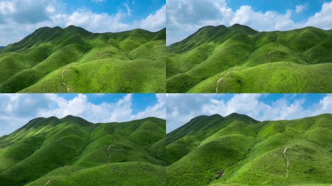 青山绿水高山草甸草原草场