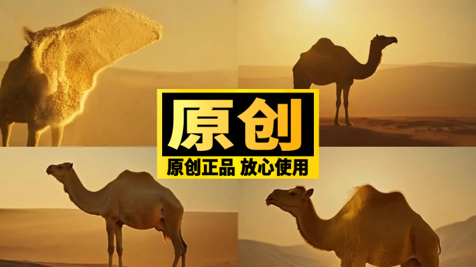 【骆驼特效合集】沙子粒子特效+丝绸之路