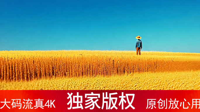 金秋 秋天 秋景 秋意