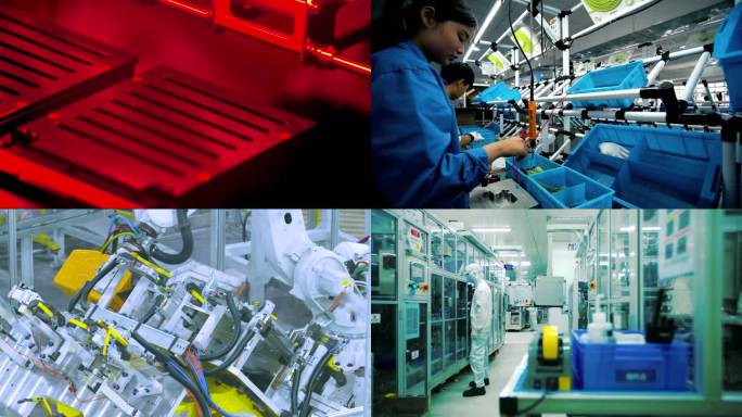 操纵 专家 科学