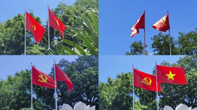 越南国旗 越南旗 国旗杆越南红旗迎风飘扬