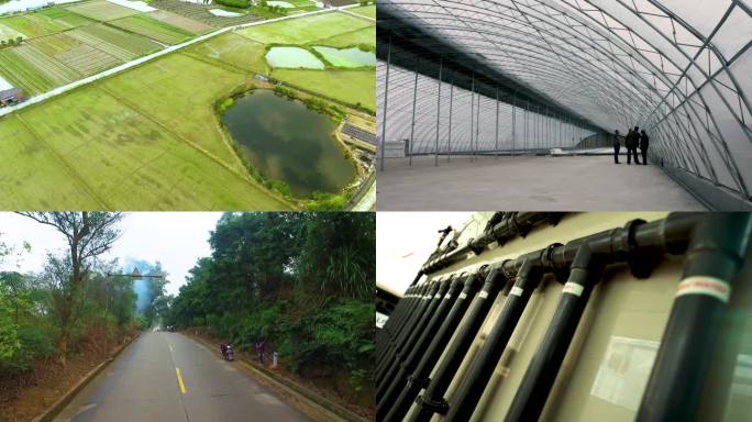 种植培养 农业发展 蔬菜大棚