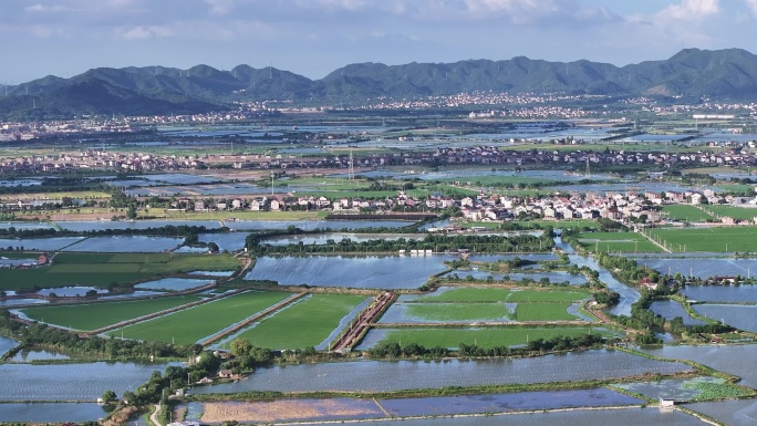 江南浙江绍兴诸暨农田稻田田野珍珠养殖